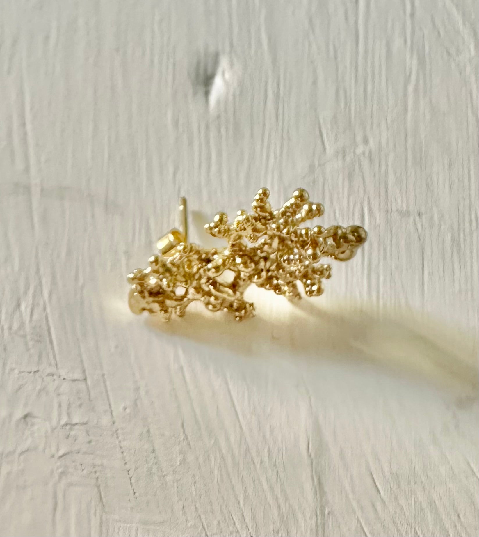 Alga: Boucles d’oreilles Grandes Coral